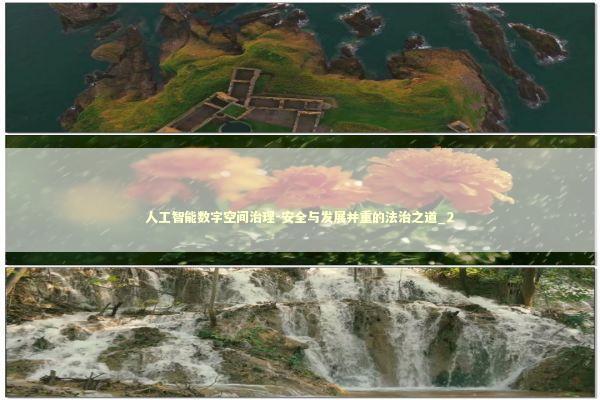 人工智能数字空间治理-安全与发展并重的法治之道_2 新闻