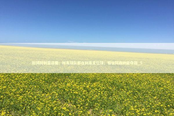 旧将阿利亚迭雷：所有球队都在利用定位球；相信阿森纳能夺冠_5 新闻