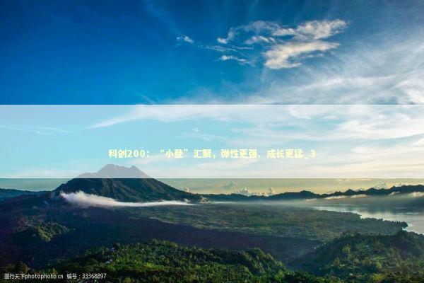 科创200：“小登”汇聚，弹性更强、成长更猛_3 新闻