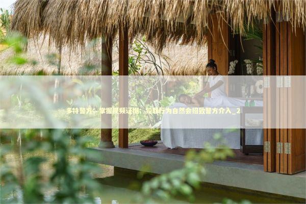 多特警方：掌握视频证据；犯罪行为自然会招致警方介入_2 新闻