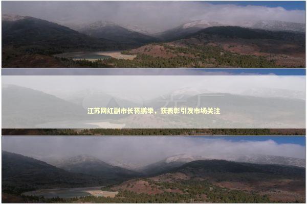 江苏网红副市长蒋鹏举，获表彰引发市场关注 新闻