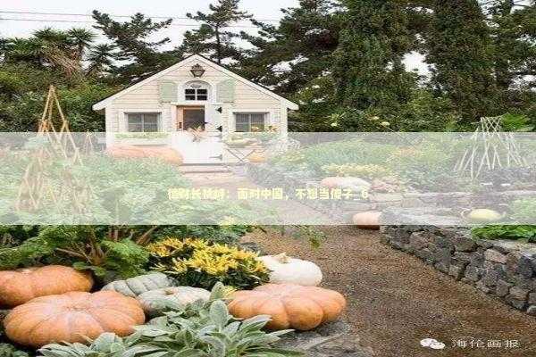 德财长挑衅：面对中国，不想当傻子_6 新闻