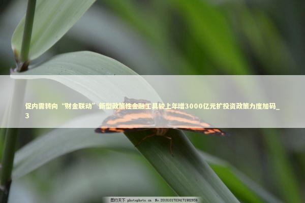促内需转向“财金联动”新型政策性金融工具较上年增3000亿元扩投资政策力度加码_3