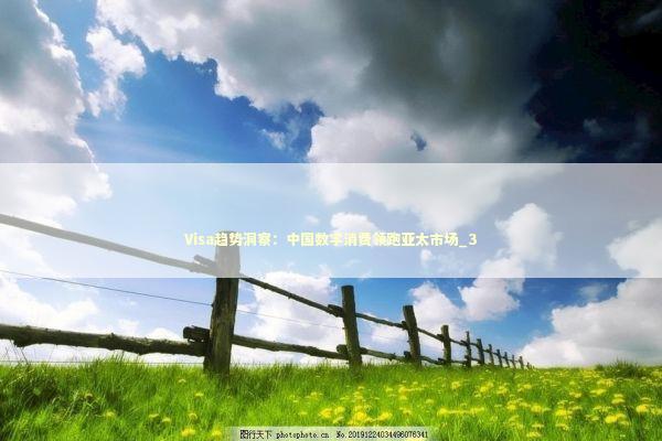 Visa趋势洞察：中国数字消费领跑亚太市场_3 新闻