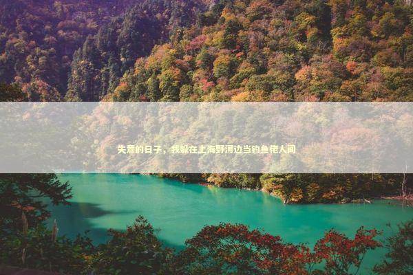 失意的日子，我躲在上海野河边当钓鱼佬人间 新闻