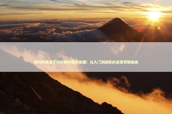 如何构建属于你的数字娱乐收藏：从入门到进阶的资源获取指南 IT技术