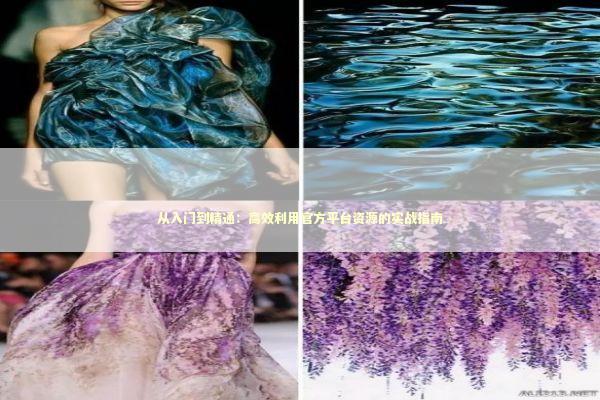 从入门到精通：高效利用官方平台资源的实战指南 IT技术