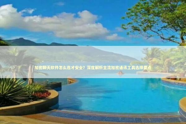 加密聊天软件怎么选才安全？深度解析主流加密通讯工具选择要点 IT技术