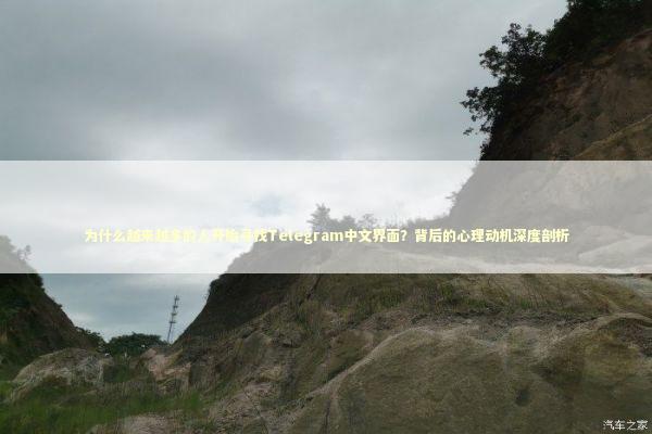 为什么越来越多的人开始寻找Telegram中文界面？背后的心理动机深度剖析 IT技术