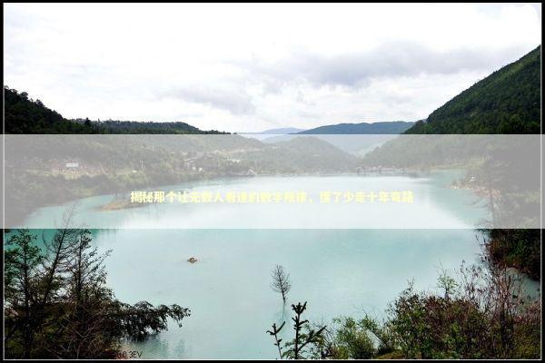 揭秘那个让无数人着迷的数字规律，懂了少走十年弯路