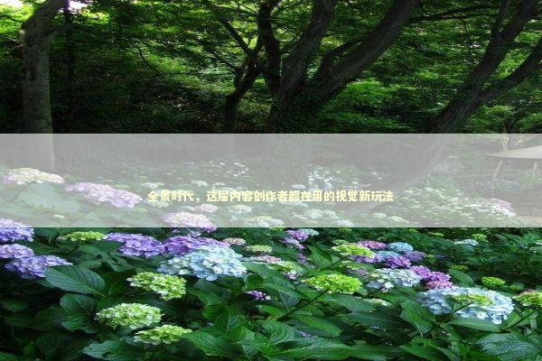 全景时代，这届内容创作者都在用的视觉新玩法 IT技术