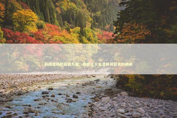 新闻现场的真实力量：那些让人无法移开目光的瞬间 新闻